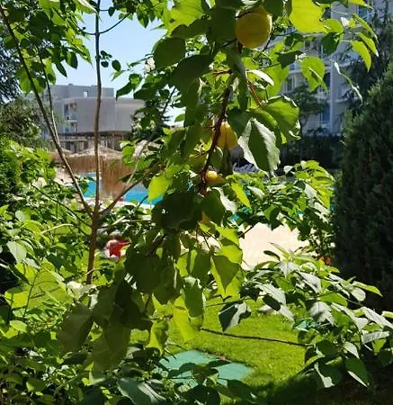 With Terrace * Burgas