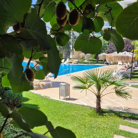 With Terrace * 부르가스