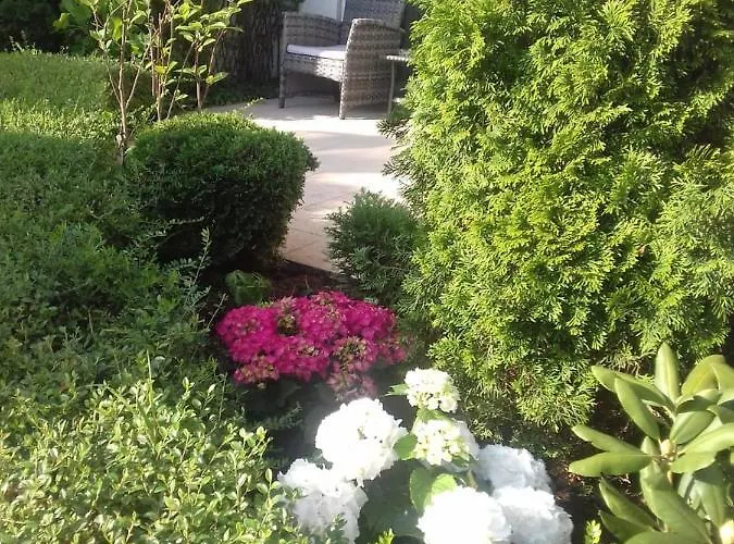 With Terrace 부르가스