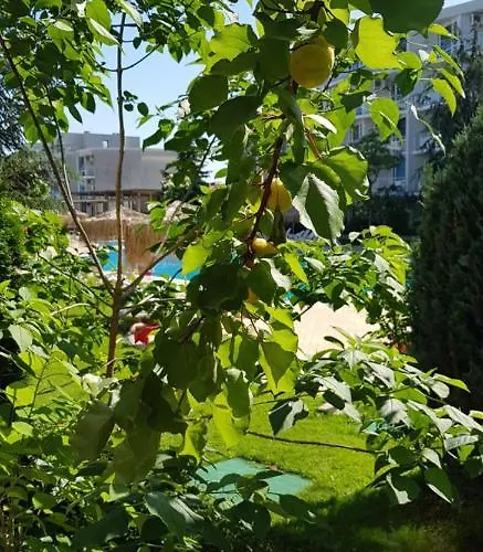 With Terrace * Burgas