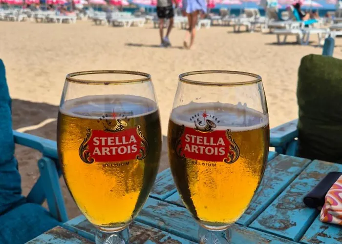 With Terrace Appartement *